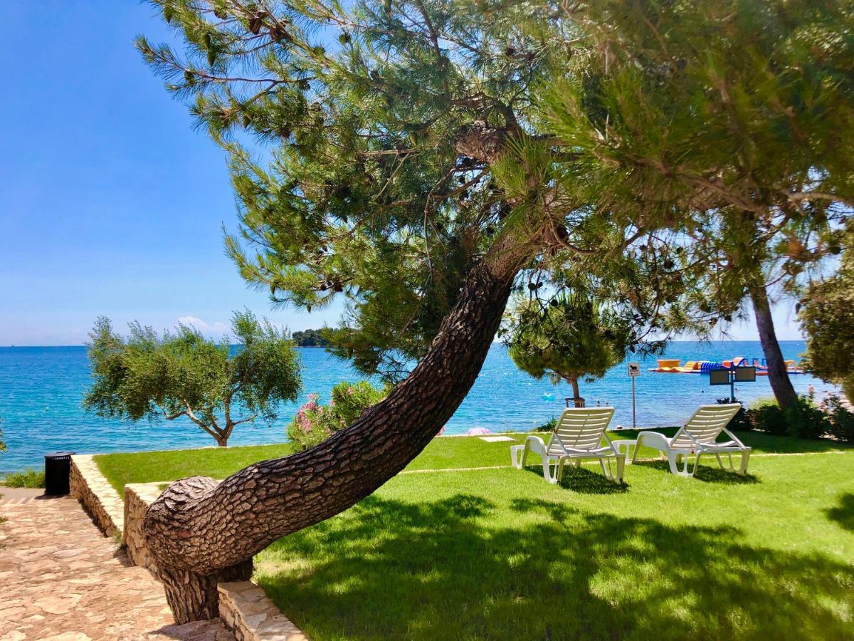 Al Mare Apartments 로비니 외부 사진